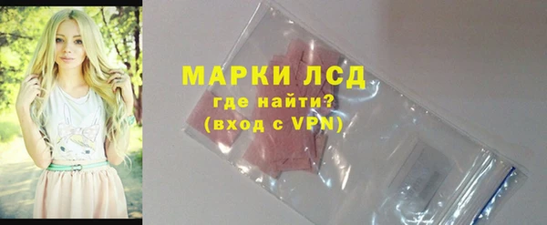ГАЛЛЮЦИНОГЕННЫЕ ГРИБЫ Алзамай