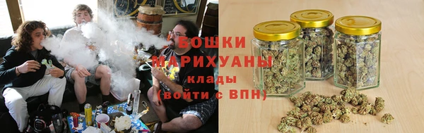ГАЛЛЮЦИНОГЕННЫЕ ГРИБЫ Алзамай