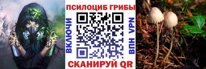 купить закладку  Вологда  Псилоцибиновые грибы Psilocybe 